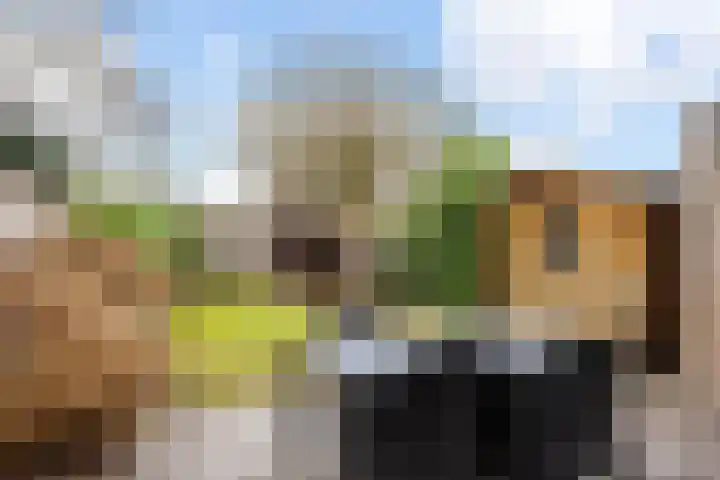 Fie Carelsenstraat 20 Hengelo thumbnail 23