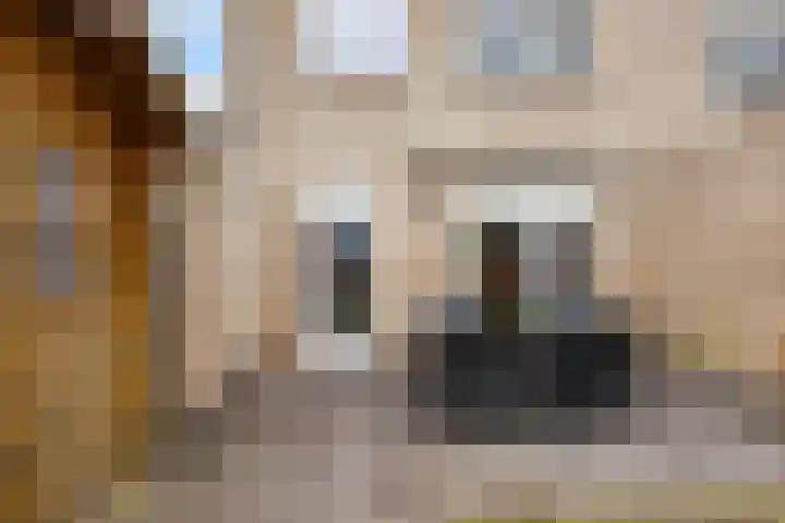 Fie Carelsenstraat 20 Hengelo thumbnail 27