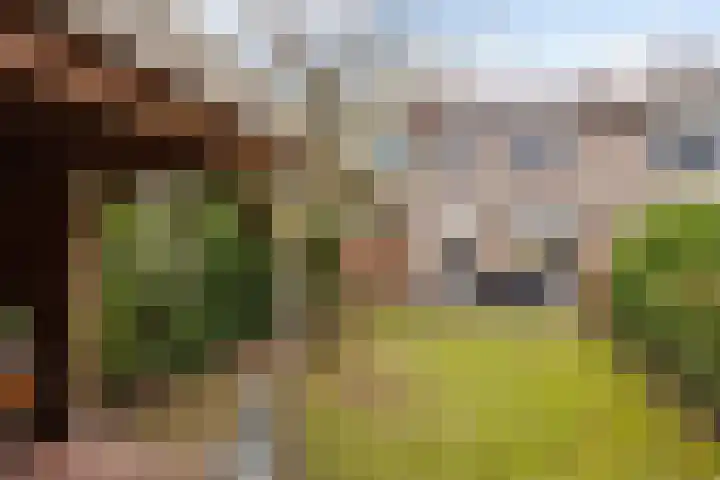 Fie Carelsenstraat 20 Hengelo thumbnail 29