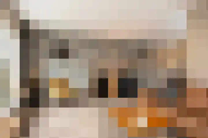 Fie Carelsenstraat 20 Hengelo thumbnail 9