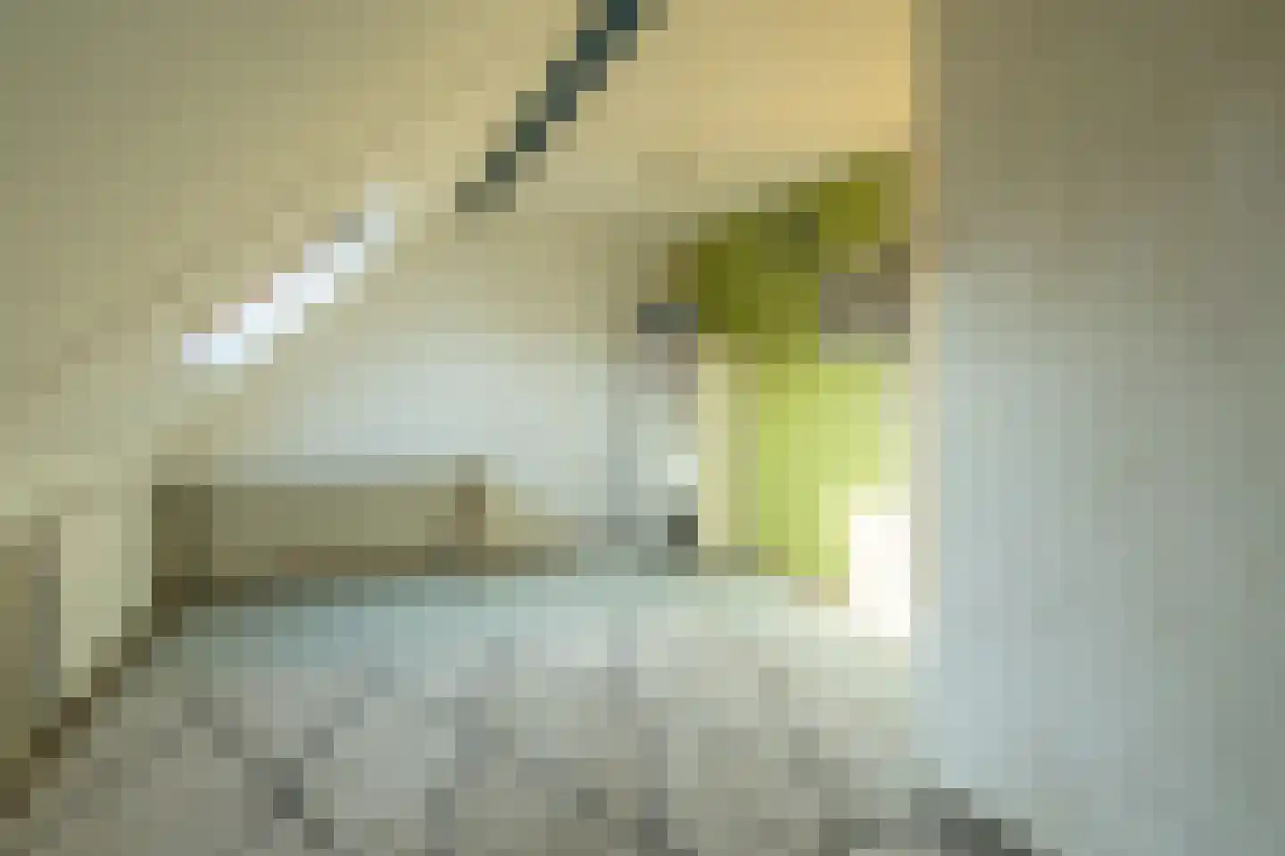 Fie Carelsenstraat 24 Hoofddorp thumbnail 16