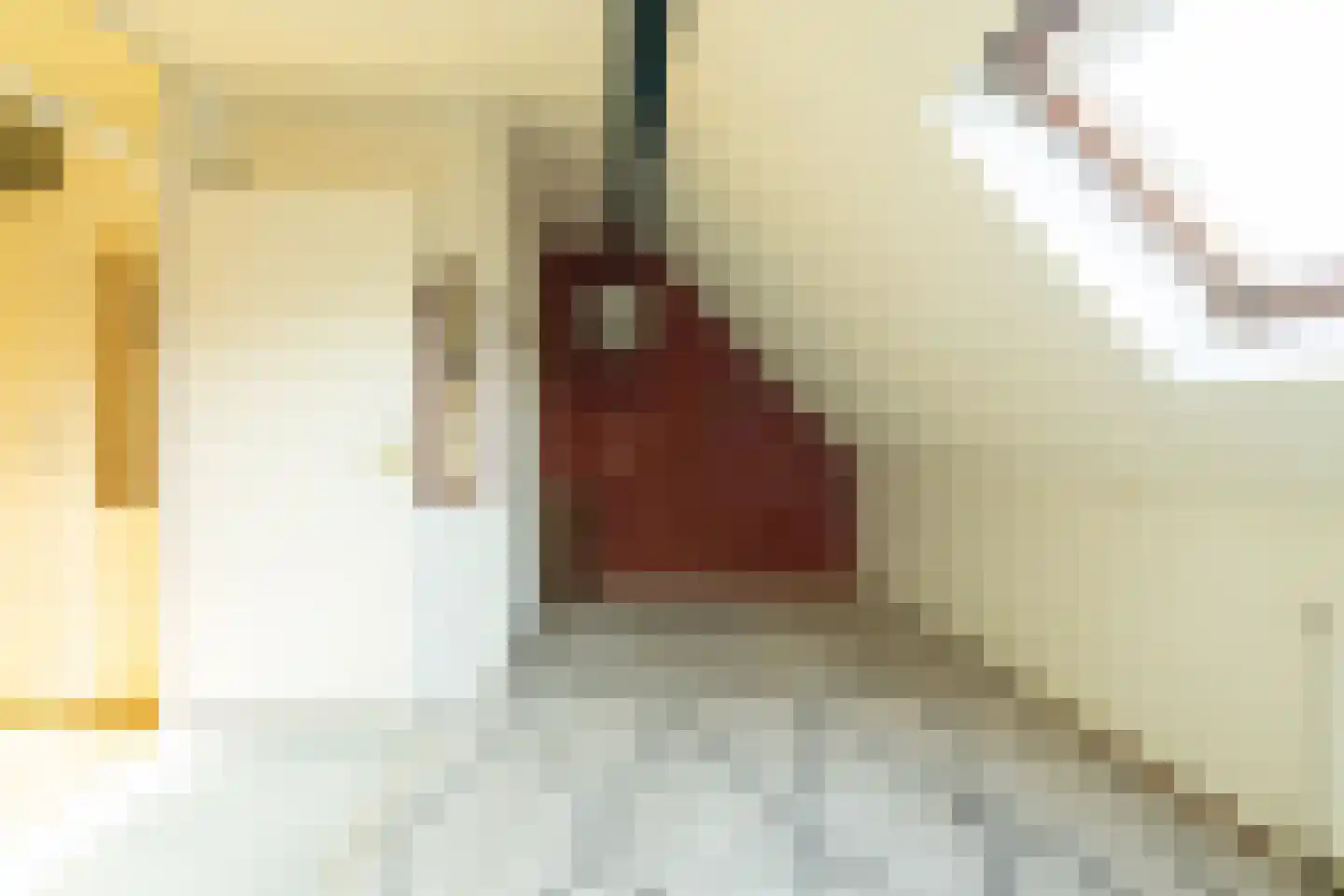 Fie Carelsenstraat 24 Hoofddorp thumbnail 17