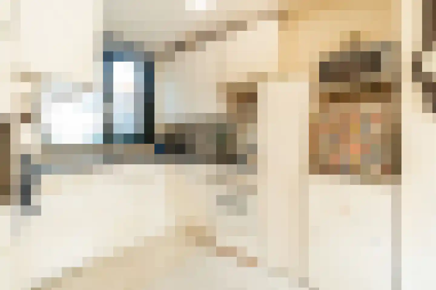 Fie Carelsenstraat 24 Hoofddorp thumbnail 5