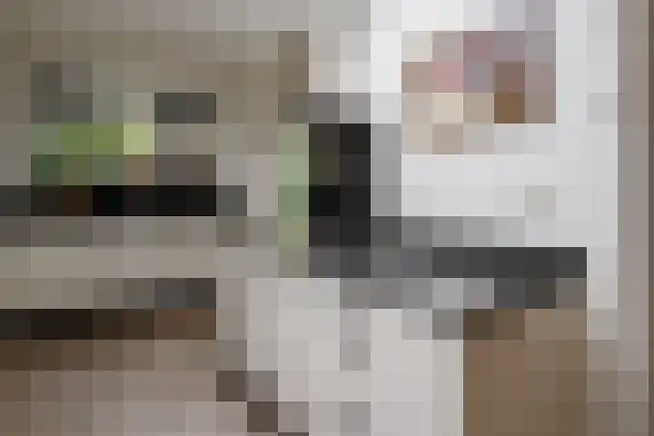 Fie Carelsenstraat 27 Hengelo thumbnail 16
