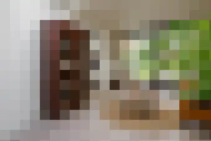 Fie Carelsenstraat 27 Hengelo thumbnail 22