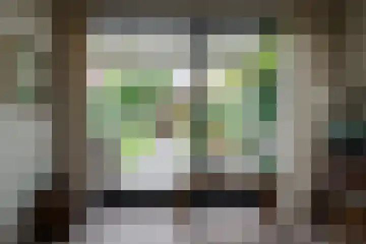 Fie Carelsenstraat 27 Hengelo thumbnail 23