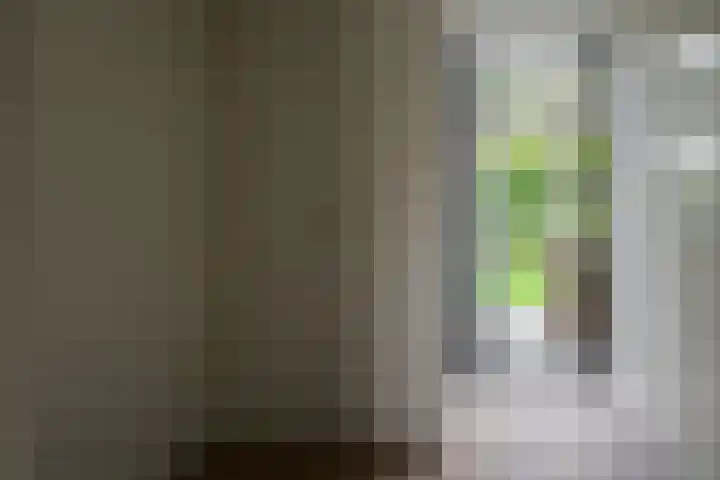 Fie Carelsenstraat 27 Hengelo thumbnail 26