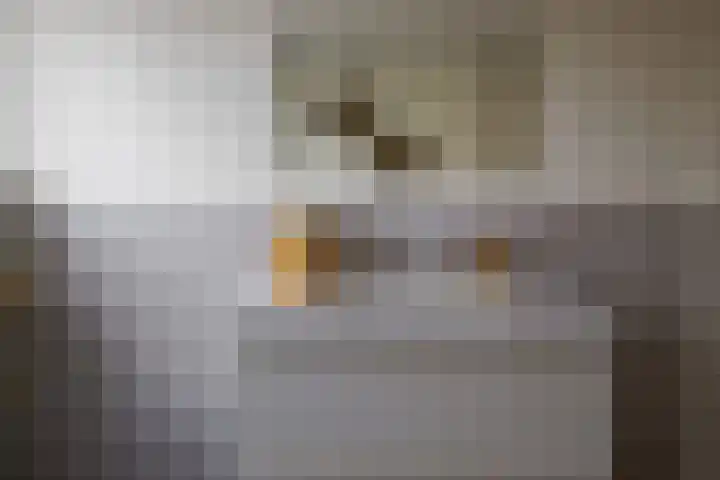 Fie Carelsenstraat 27 Hengelo thumbnail 30