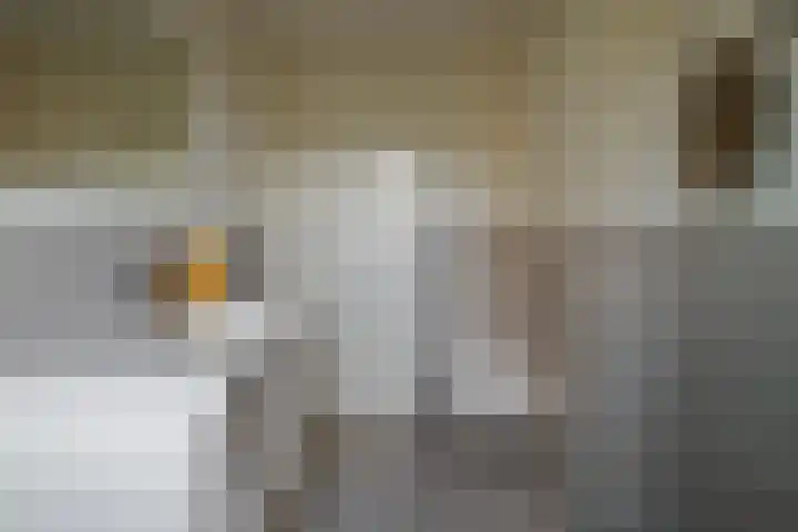 Fie Carelsenstraat 27 Hengelo thumbnail 31