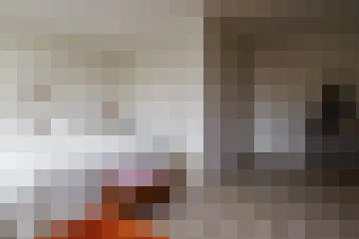 Fie Carelsenstraat 27 Hengelo thumbnail 36