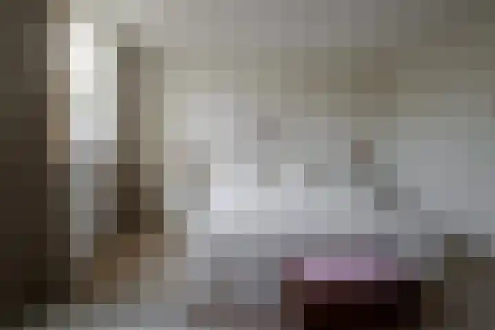 Fie Carelsenstraat 27 Hengelo thumbnail 37