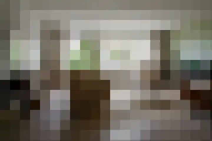 Fie Carelsenstraat 27 Hengelo thumbnail 4