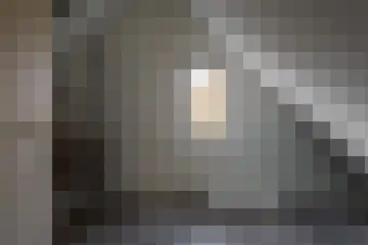 Fie Carelsenstraat 27 Hengelo thumbnail 41