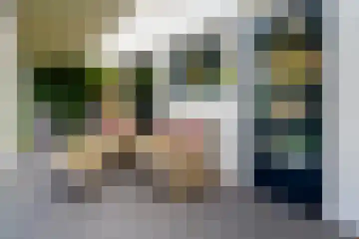 Fie Carelsenstraat 27 Hengelo thumbnail 45