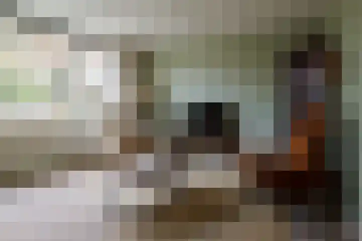 Fie Carelsenstraat 27 Hengelo thumbnail 5