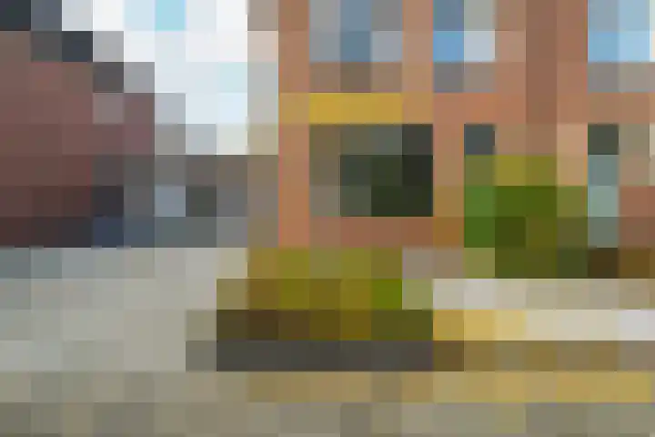 Fie Carelsenstraat 27 Hengelo thumbnail 53