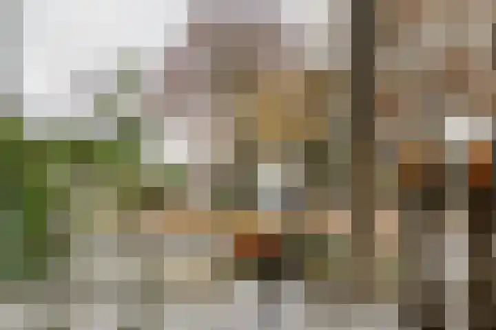 Fie Carelsenstraat 27 Hengelo thumbnail 7
