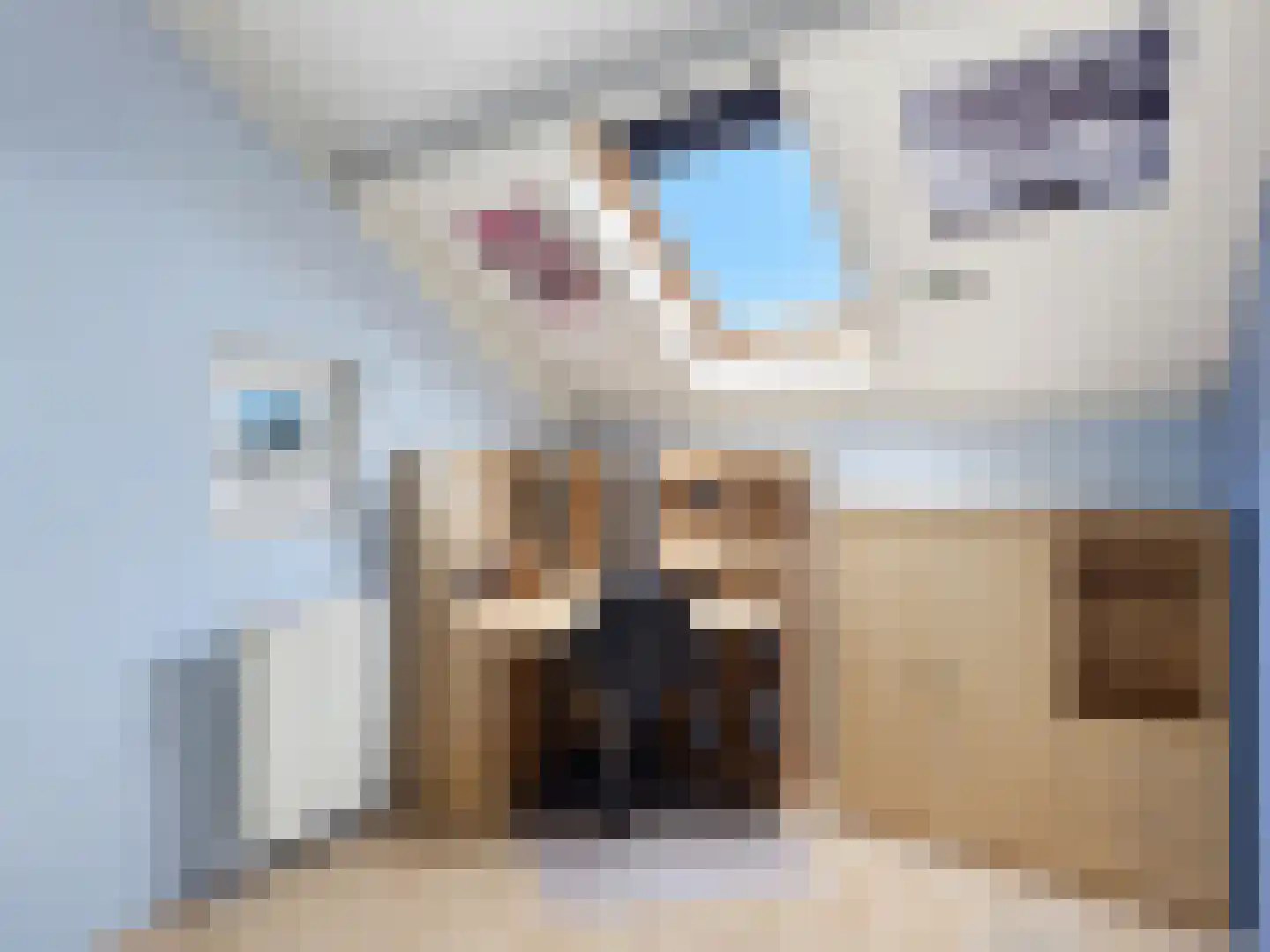 Fie Carelsenstraat 31 Zutphen thumbnail 21