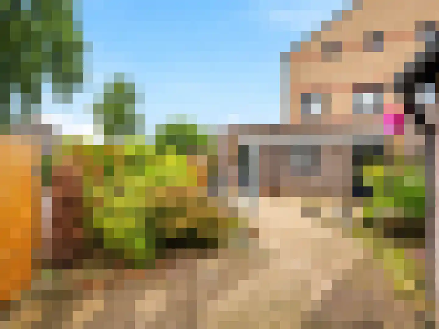 Fie Carelsenstraat 31 Zutphen thumbnail 24