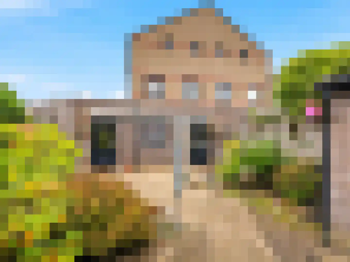 Fie Carelsenstraat 31 Zutphen thumbnail 25