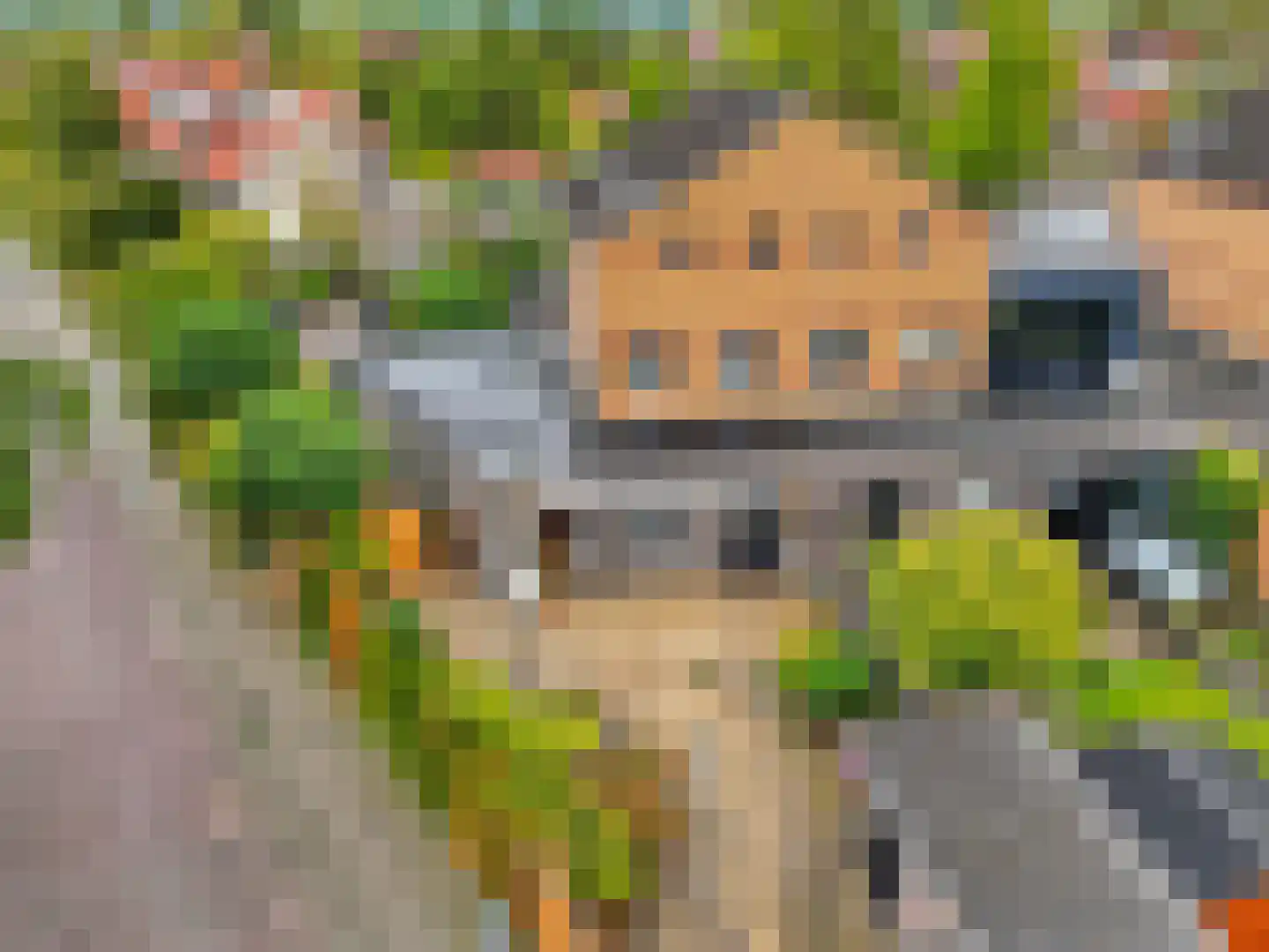 Fie Carelsenstraat 31 Zutphen thumbnail 28
