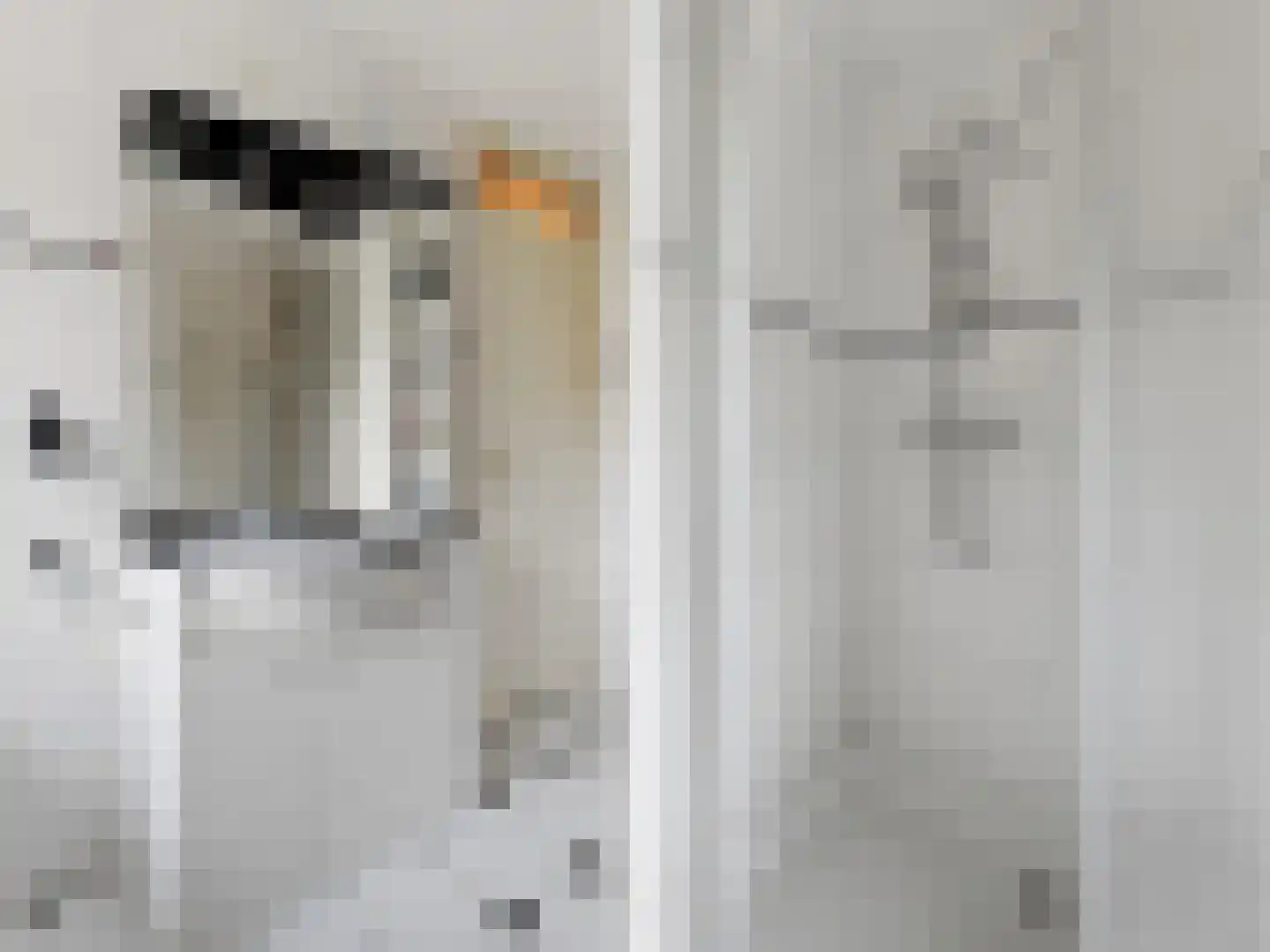 Fie Carelsenstraat 31 Zutphen thumbnail 6