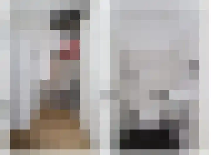 Fie Carelsenstraat 6 Spijkenisse thumbnail 10