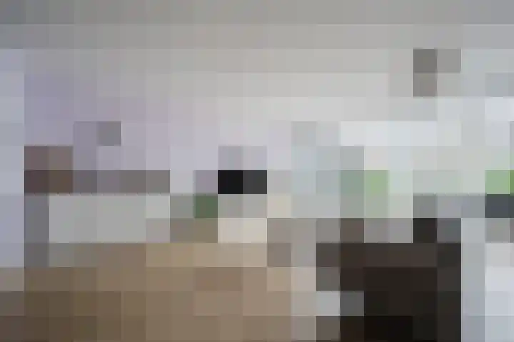 Fie Carelsenstraat 6 Spijkenisse thumbnail 11