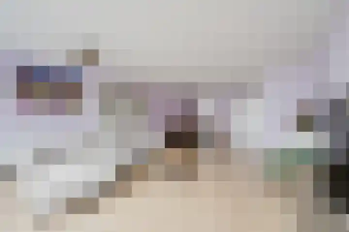 Fie Carelsenstraat 6 Spijkenisse thumbnail 12