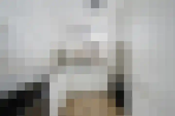 Fie Carelsenstraat 6 Spijkenisse thumbnail 13
