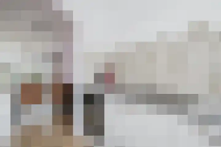 Fie Carelsenstraat 6 Spijkenisse thumbnail 14