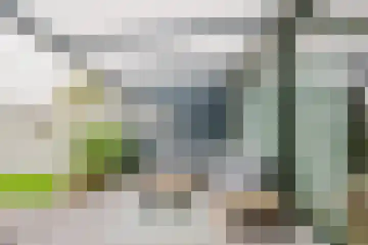 Fie Carelsenstraat 6 Spijkenisse thumbnail 15