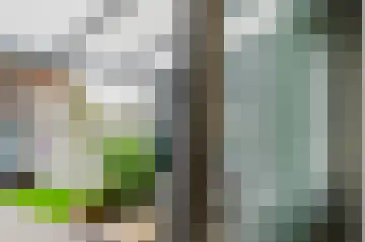 Fie Carelsenstraat 6 Spijkenisse thumbnail 16
