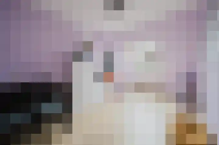 Fie Carelsenstraat 6 Spijkenisse thumbnail 20