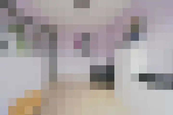 Fie Carelsenstraat 6 Spijkenisse thumbnail 21