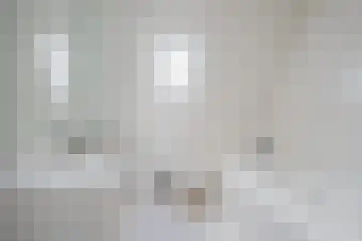 Fie Carelsenstraat 6 Spijkenisse thumbnail 22