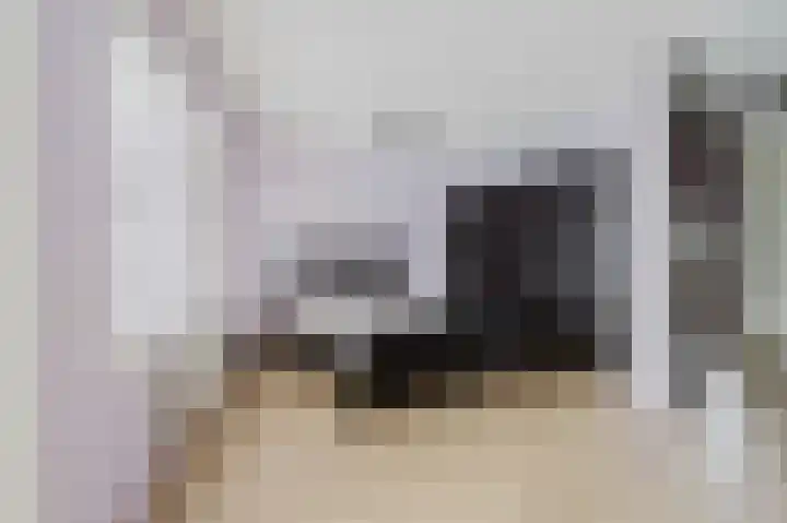 Fie Carelsenstraat 6 Spijkenisse thumbnail 23