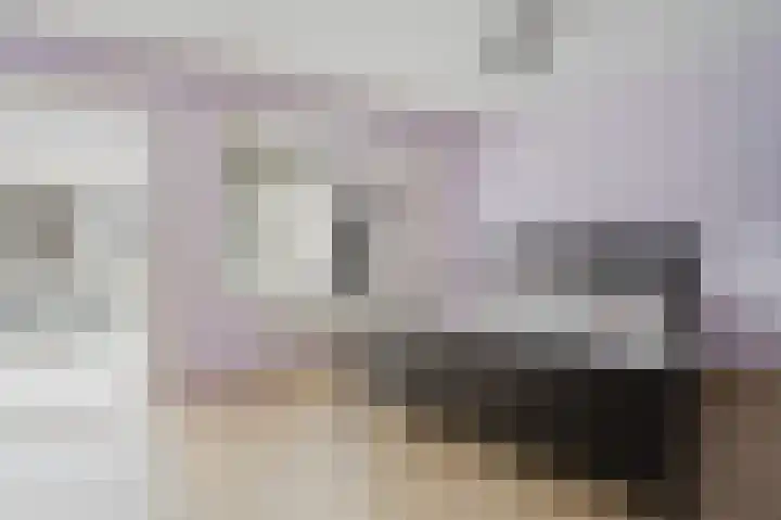 Fie Carelsenstraat 6 Spijkenisse thumbnail 24