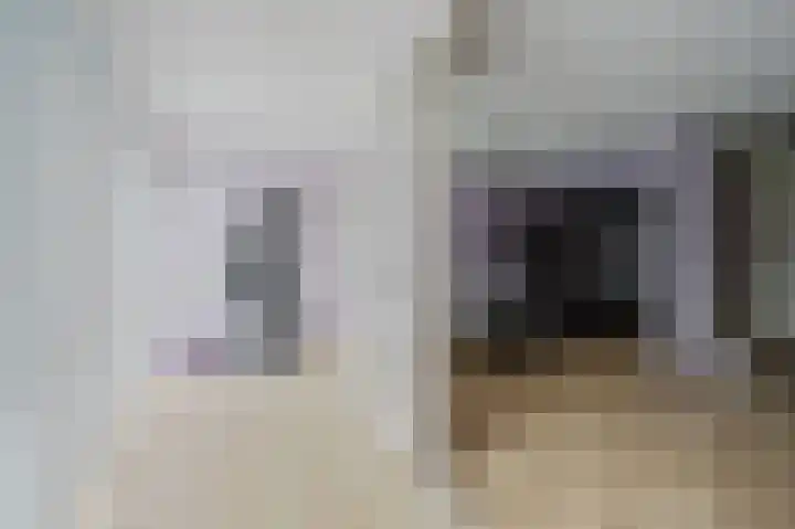 Fie Carelsenstraat 6 Spijkenisse thumbnail 25