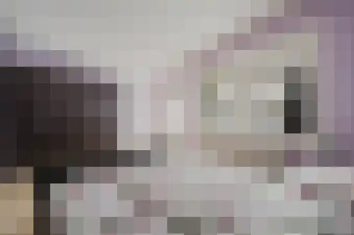 Fie Carelsenstraat 6 Spijkenisse thumbnail 26