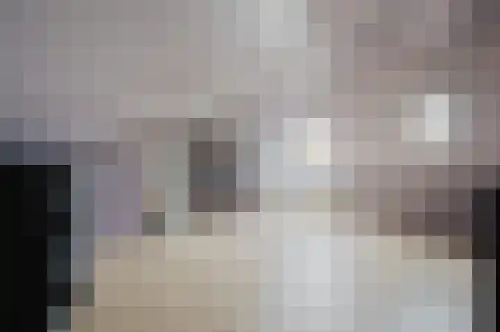 Fie Carelsenstraat 6 Spijkenisse thumbnail 28
