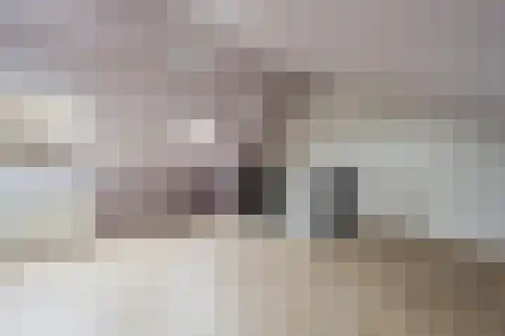 Fie Carelsenstraat 6 Spijkenisse thumbnail 29