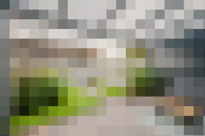 Fie Carelsenstraat 6 Spijkenisse thumbnail 4