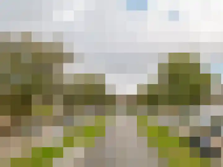 Fie Carelsenstraat 6 Spijkenisse thumbnail 5