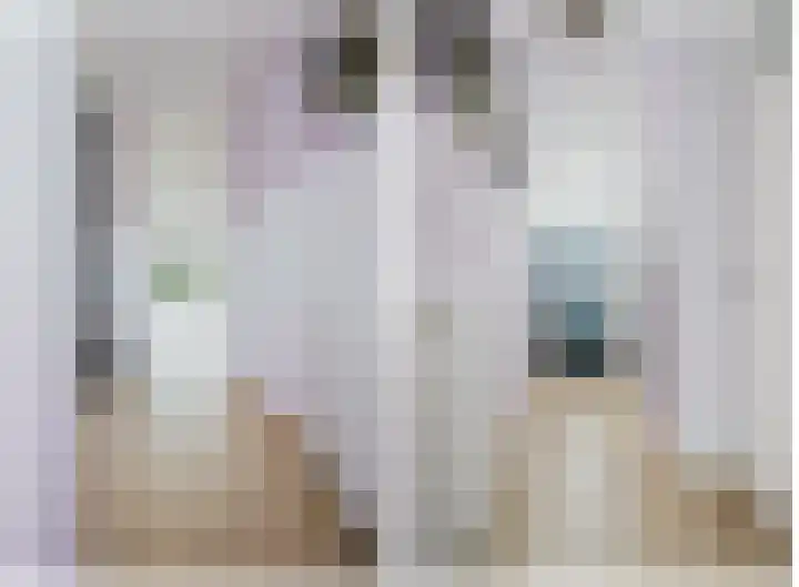 Fie Carelsenstraat 6 Spijkenisse thumbnail 9