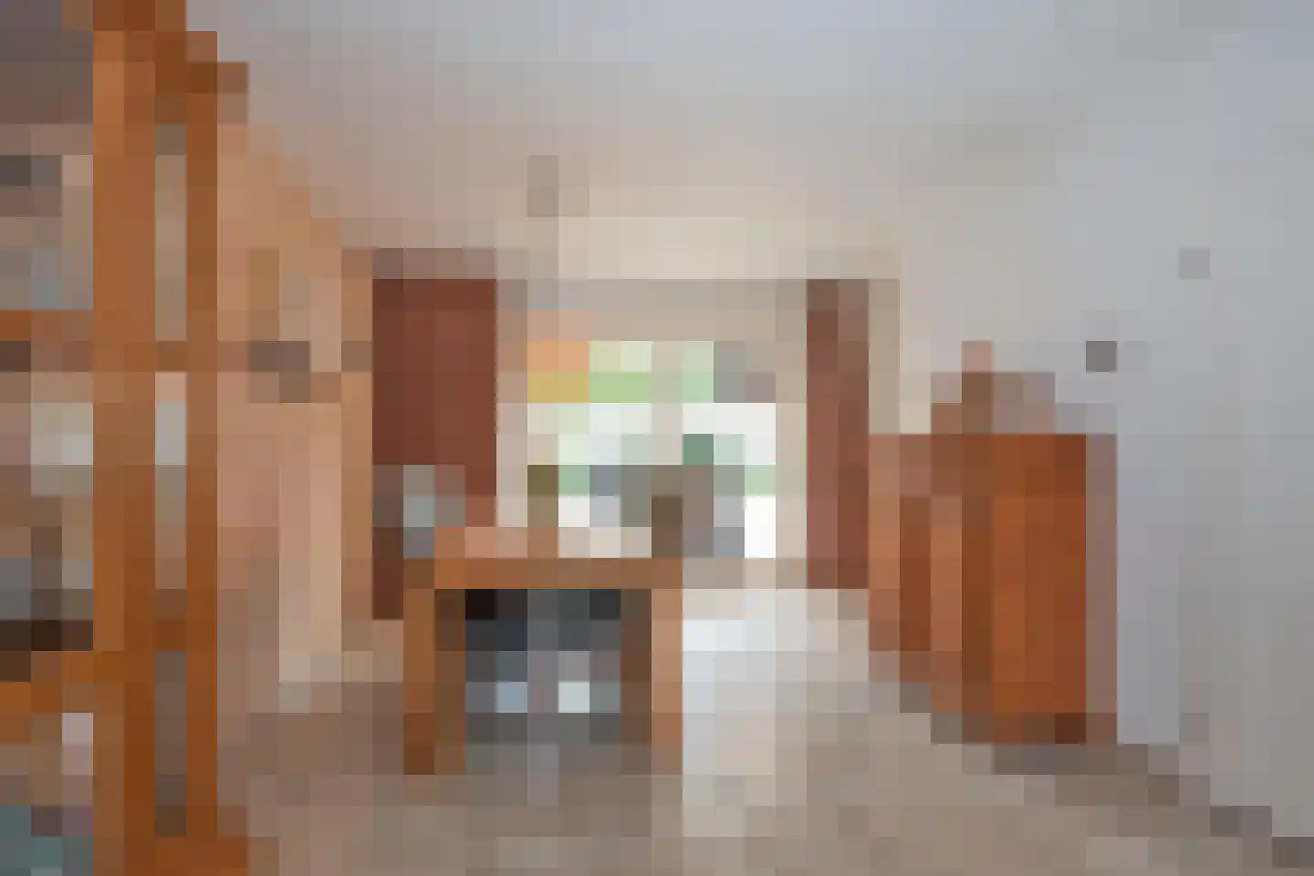 Fie Carelsenstraat 84 Hengelo thumbnail 11
