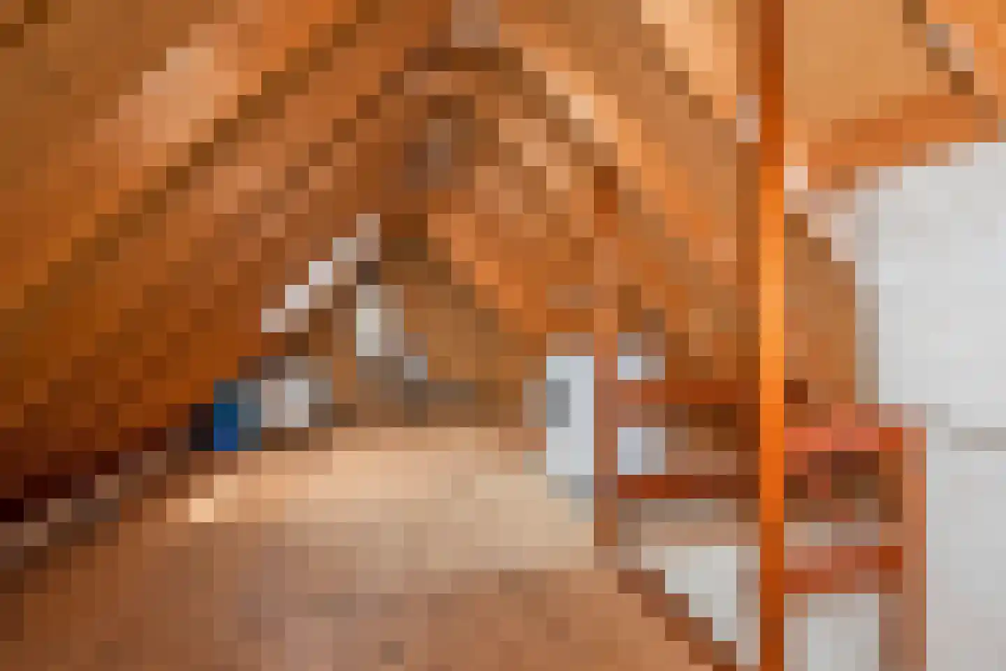 Fie Carelsenstraat 84 Hengelo thumbnail 22