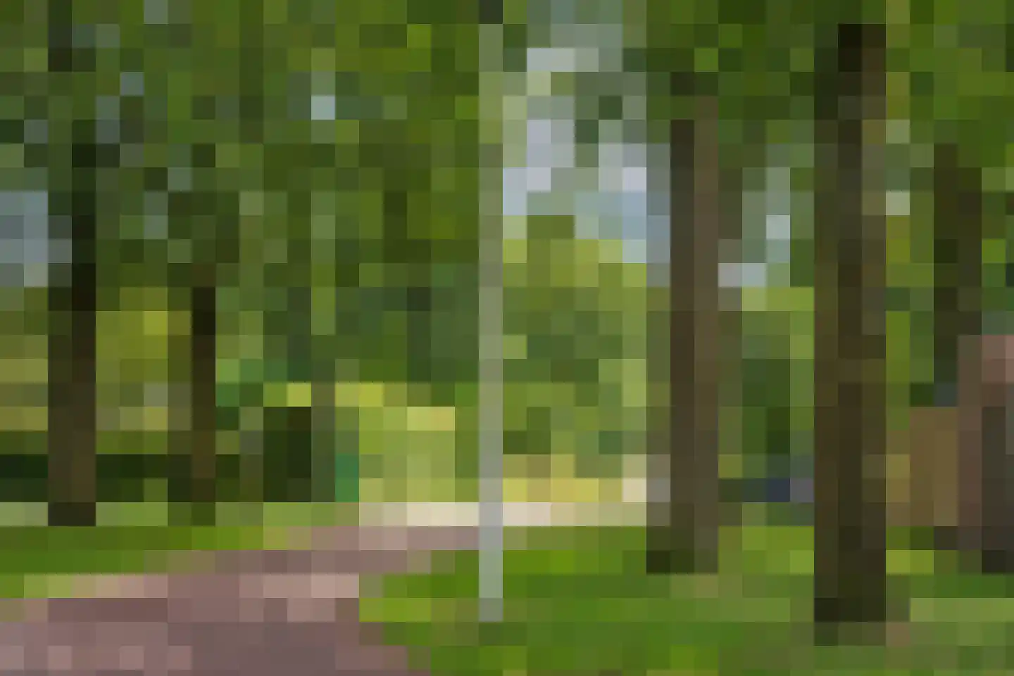 Fie Carelsenstraat 84 Hengelo thumbnail 34