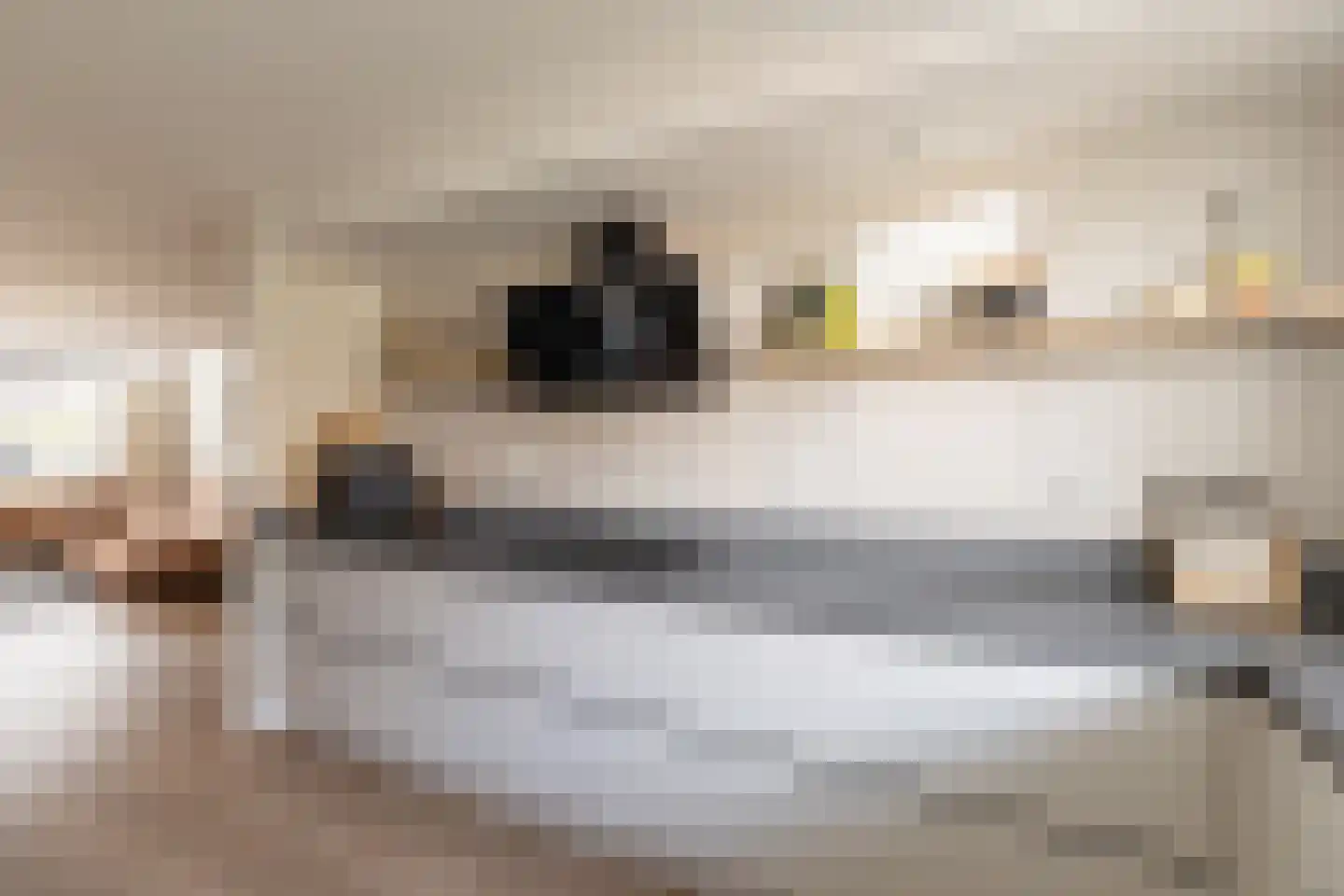 Fie Carelsentuin 11 Heerhugowaard thumbnail 10