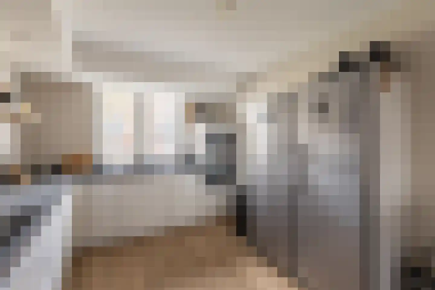 Fie Carelsentuin 11 Heerhugowaard thumbnail 12